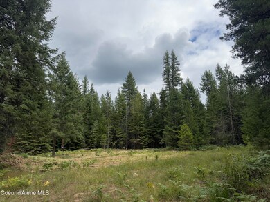 456 Tamarack Ln, Sagle, ID 83860 - photo 3