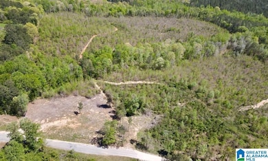 0 Landfill Rd unit 21438392, Ashland, AL 36251 - photo 2