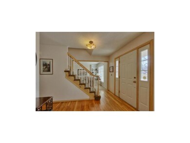 Brand new designer stair carpeting, hardwood entry