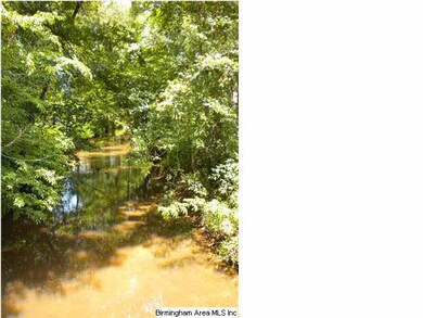 Beautiful wet creek on property.