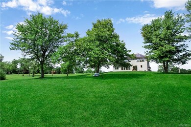 Great back yard