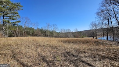 LOT 1 Snote Jones Rd, Dallas, GA 30132 - photo 7