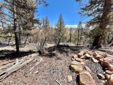 2834 Middle Fork, Fairplay, CO 80440 - photo 2