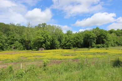 144 Hurricane Creek Dr, Tennessee Ridge, TN 37178 - photo 4