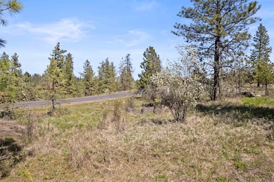 3801 W Grandview Ave, Spokane, WA 99224 - photo 6