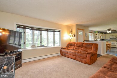 4805 Shimerville Rd, Emmaus, PA 18049 - photo 5