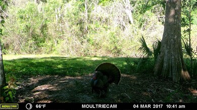 PLENTY OF WILDLIFE BUT CLOSE TO AMENITIES...