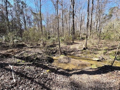 1417 Ellis Griffin Rd, Wingate, NC 28174 - photo 3