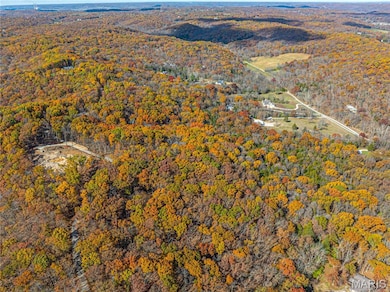 19005 Old Wild Turkey Ln, Wildwood, MO 63069 - photo 5