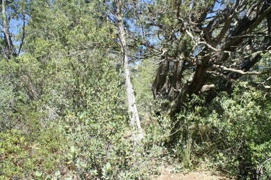 235 Jan Dr, Pine, AZ 85544 - photo 4