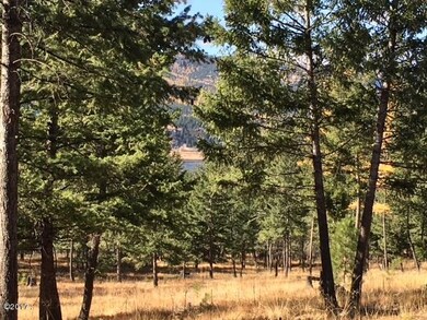 561 Spring Hill Rd, Kalispell, MT 59901 - photo 6