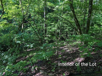 772 Naomi Ct, Ranger, GA 30734 - photo 5