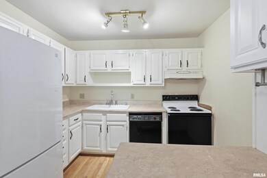 1249 48th Ave unit 18, East Moline, IL 61244 - photo 6