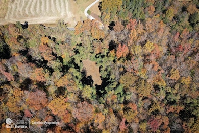 00 Mountain Rd, Cleveland, NC 27013 - photo 5