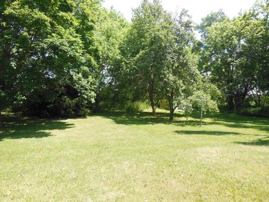 Awesome Yard!