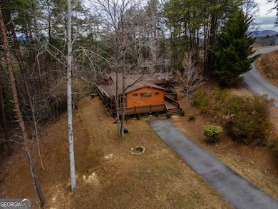 233 River Hills Rd, Mineral Bluff, GA 30559 - photo 5