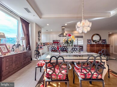 The Ritz-Carlton Residences unit P-12A, Baltimore, MD 21230 - photo 7