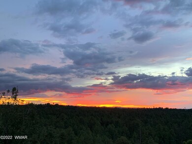 1980 S Twin Peak Trail, Show Low, AZ 85901 - photo 2