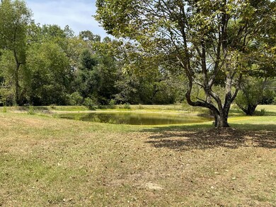 0 Harley Golden Rd, Lufkin, TX 75901 - photo 7