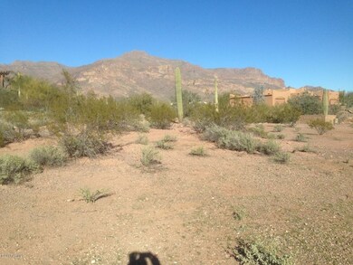 3733 KRC Back yard view