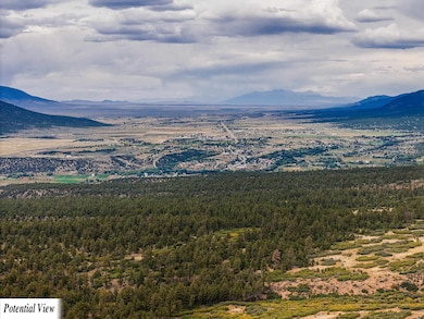 TBD Usfs Forestroad 132a, Questa, NM 87556 - photo 6