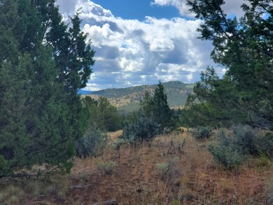 0 SE Dead End Street Tl5674 St unit 220149584, Prineville, OR 97754 - photo 6