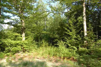 0 Bog Rd unit 4639257, New London, NH 03257 - photo 7