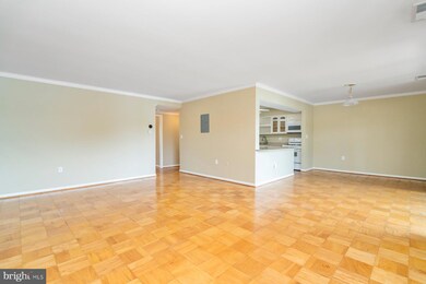 10079 Windstream Dr unit 4, Columbia, MD 21044 - photo 6
