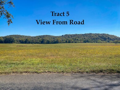 0 Narrows of the Harpeth Rd, Kingston Springs, TN 37082 - photo 5