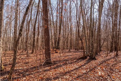 0 Brown Rd, King, NC 27021 - photo 7