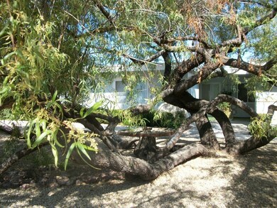 13807 N 109th Ave, Sun City, AZ 85351 - photo 3