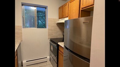 995 Massachusetts Ave unit 206, Arlington, MA 02476 - photo 3