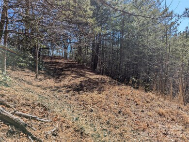 94 Trillium Ln unit C2, Black Mountain, NC 28711 - photo 2