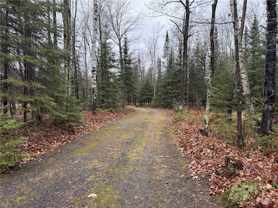 11466 S Westerlund Loop, Solon Springs, WI 54873 - photo 4