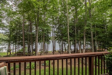 View to the Lake