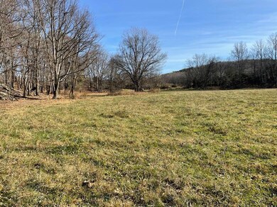 231 Highway 1003, Somerset, KY 42501 - photo 6