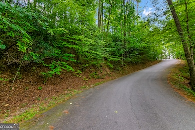 Lot 9 Laurel Creek Trail, Ellijay, GA 30536 - photo 2