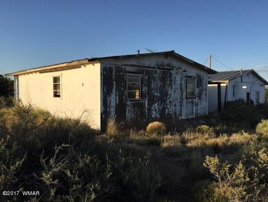 garage and house
