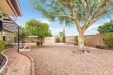 Another backyard view