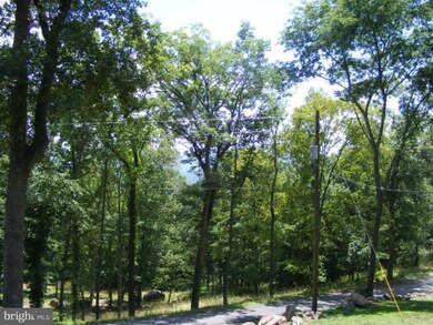 213 Cave Mountain, Upper Tract, WV 26866 - photo 6