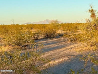 20251106070117554922000000-o