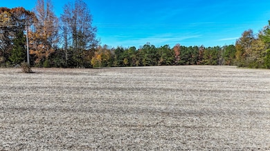 5666 Longview Dr, Kenbridge, VA 23944 - photo 5