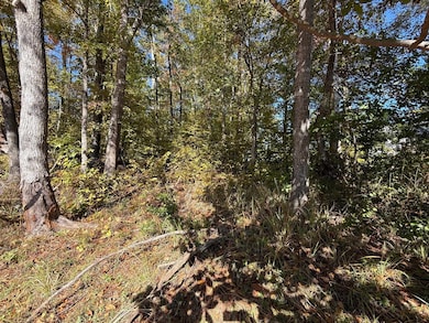 0 Gardenia Rd unit 69812, Sparta, GA 31087 - photo 2