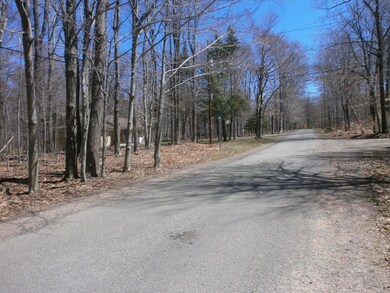 0 Logger Rd, Greene Township, PA 18325 - photo 4