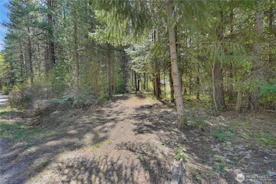 17265 Lake Julius Rd, Leavenworth, WA 98826 - photo 5