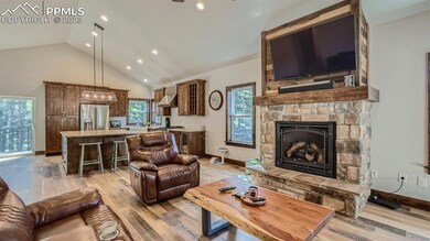 403 Silvermoon Heights, Divide, CO 80814 - photo 3