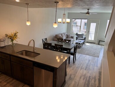Kitchen Looking into Living Area