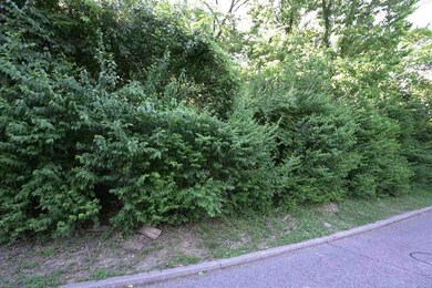 43.5-45.5, Kentucky Dr, Newport, KY 41071 - photo 4