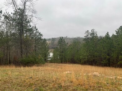 6 Crest Line Dr, Upatoi, GA 31829 - photo 5