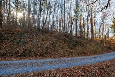 0 Whispering Ln unit 624776, Stanley, VA 22851 - photo 3